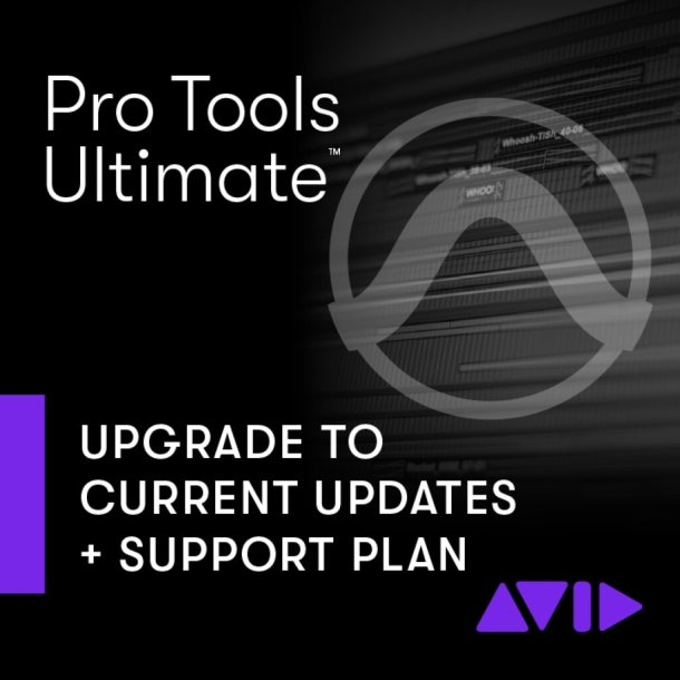 Pro Tools- Ultimate 1-Year Updates &amp; Support Digital download: ESD