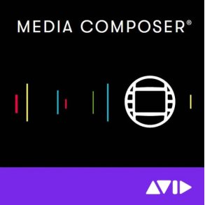 Media Composer 1-Yr Subs Renewal (Pre-Jul 1 2019) : ESD digital download