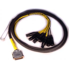 DB25-XLR M+F AES/EBU DigiSnake 12' : Pro Tools HD