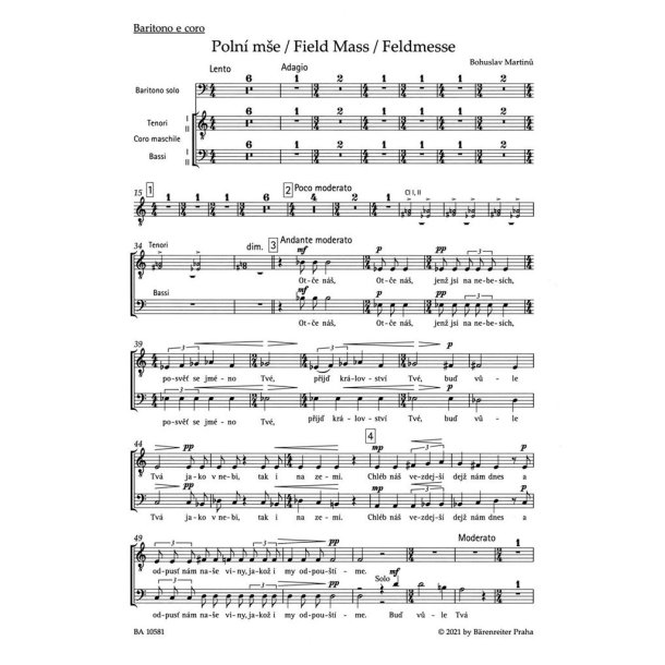 Poln&iacute; mse H 279