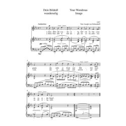 Songs and Ballads II