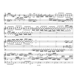 Toccata con Fuga for Organ D minor BWV 565