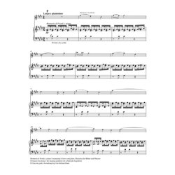 Concerto for Violin and Piano E major op. 8, No. 1 : Spring