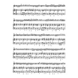 Sonata for Flute and Basso continuo C major