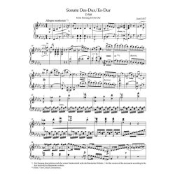 Klaviersonaten I : Die Fruhen Sonaten