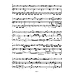 Il Pastor Fido (6 Sonaten)