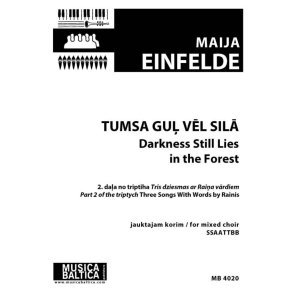 Tumsa gul vel sila : Darkness Still Lies in the Forest
