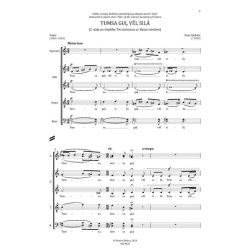 Tumsa gul vel sila : Darkness Still Lies in the Forest