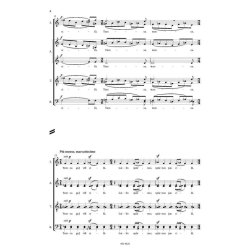 Tumsa gul vel sila : Darkness Still Lies in the Forest