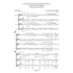 Saulit' velu vakarai : In the Evening, When the Sun Sets