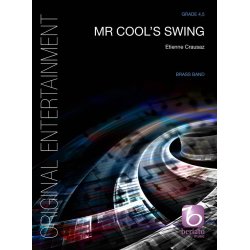 Mr Cool's Swing