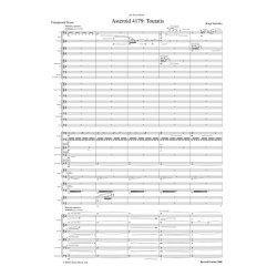 Asteroid 4179: Toutatis