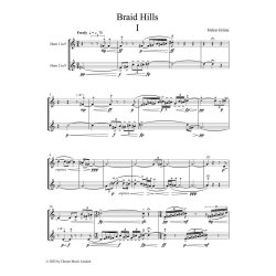 Braid Hills