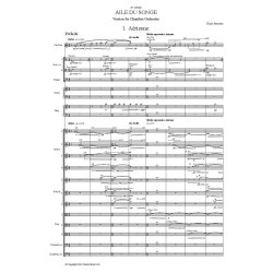 Aile du songe : (chamber version)