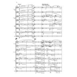 Terra Memoria (String Orchestra Version)