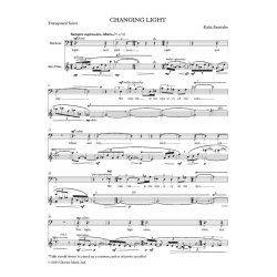 Changing Light : Baritone and Alto Flute