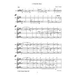 Diaries of Hope : low voice, SATB choir, pno, str