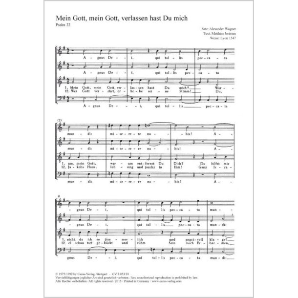 Mein Gott, Mein Gott, Verlassen Hast Du Mich