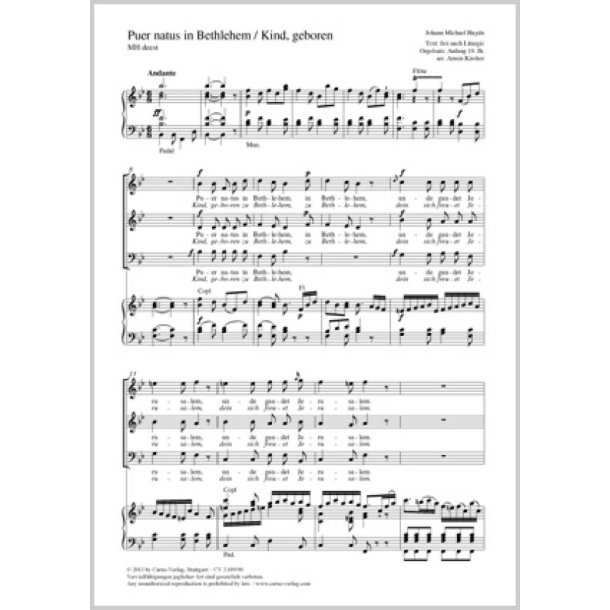 Puer natus in Bethlehem