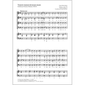 Tenuisti manum dexteram meam