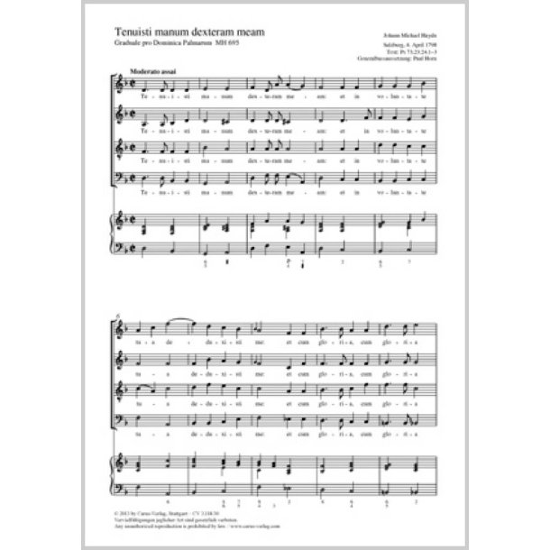 Tenuisti manum dexteram meam