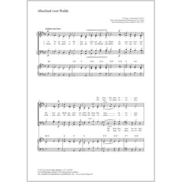 Abschied vom Walde