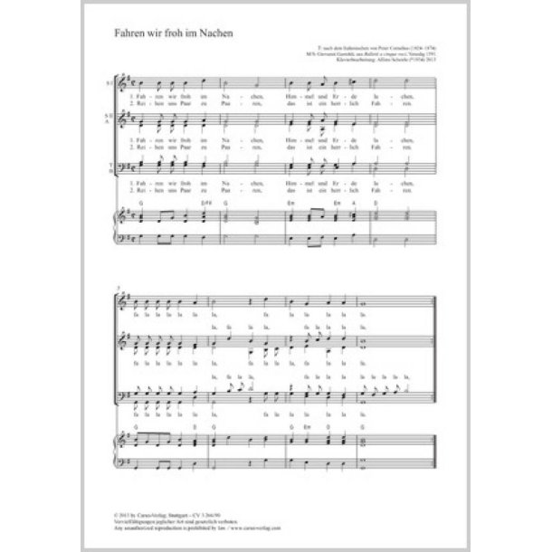 Fahren wir froh im Nachen