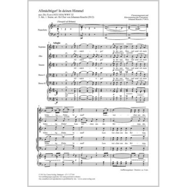 Allm&auml;chtiger! In deinen Himmel