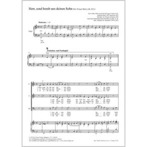 Herr, send herab uns deinen Sohn : D minor