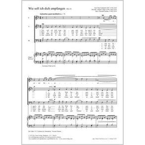 Wie soll ich dich empfangen : D major