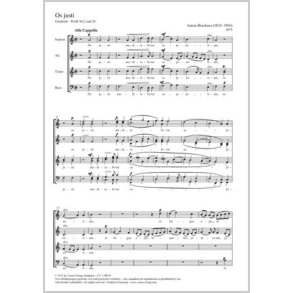 Os justi : Graduale an den Festen heiliger Kirchenlehrer