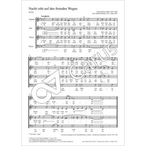 Nacht ruht auf den fremden Wegen : G minor - H 225