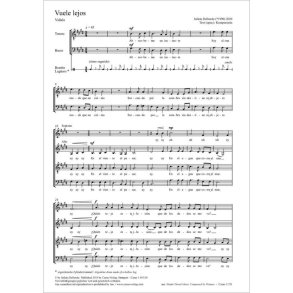 Vuele lejos - E major : Vidala