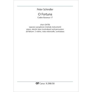 O Fortuna : from: Perpetuum mobile - Songs from the Codex Buranus