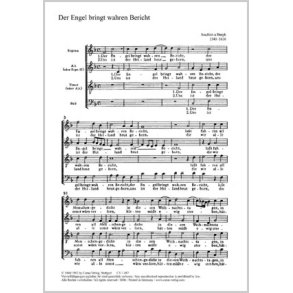 Der Engel bringt wahren Bericht