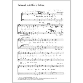 Schau auf, mein Herz