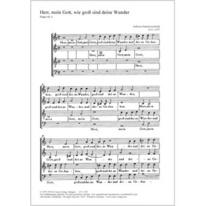 Herr, mein Gott, wie groß : dorisch