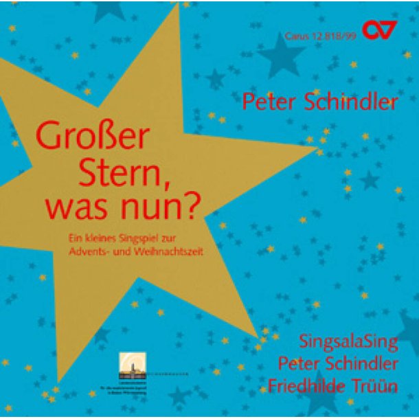 Gro&szlig;er Stern, was nun? : Ein kleines Singspiel zur Advents- und Weihnachtszeit
