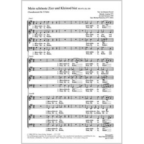 Mein schönste Zier und Kleinod bist : g-Moll