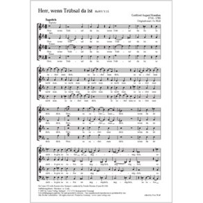 Herr, wenn Trübsal da ist : c-Moll