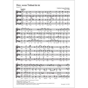 Herr, wenn Trübsal da ist : es-Moll