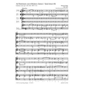 Ad Dominum cum tribularer clamavi : Quid detur tibi, aut quid apponatur tibi