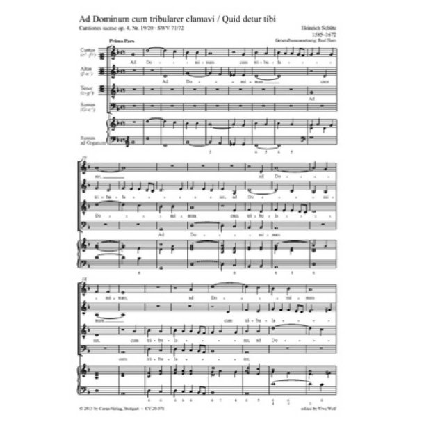 Ad Dominum cum tribularer clamavi : Quid detur tibi, aut quid apponatur tibi