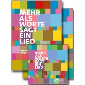 Mehr als Worte sagt ein Lied : Jugendchorbuch für gleiche Stimmen