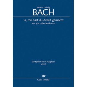 Ja, mir hast du Arbeit gemacht