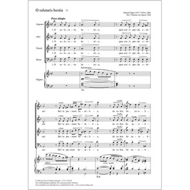 Halleluja - Aufgeleuchtet ist uns : Coda mit Versen