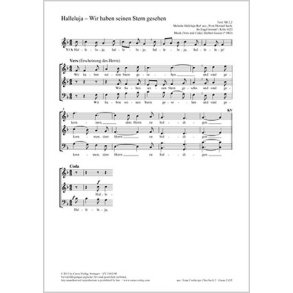 Halleluja - Wir haben seinen Stern gesehen