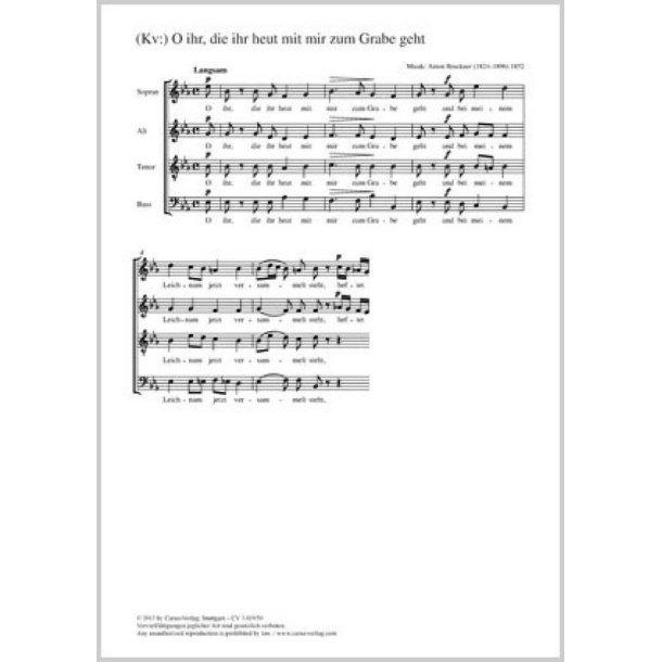 O ihr, die ihr heut mit mir zum Grabe : Totenlied