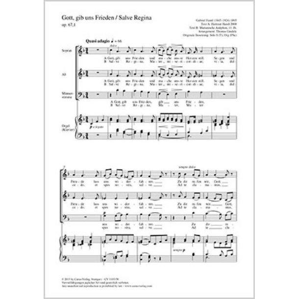 Gott, gib uns Frieden : Salve Regina