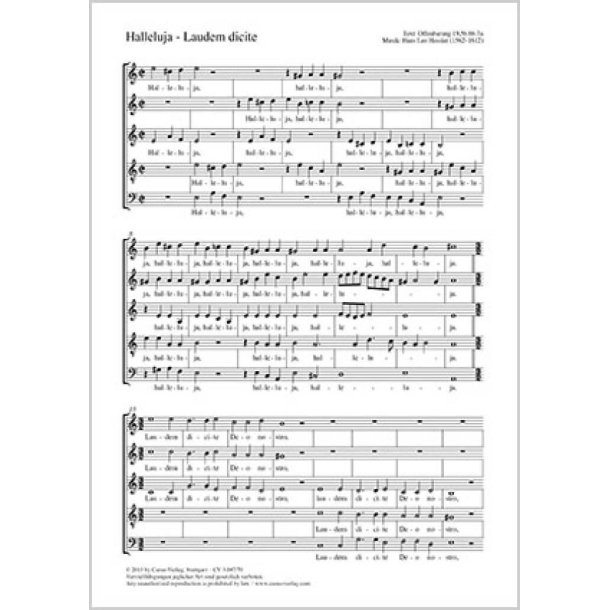 Halleluja - Laudem dicite : aus: Sacri concentus